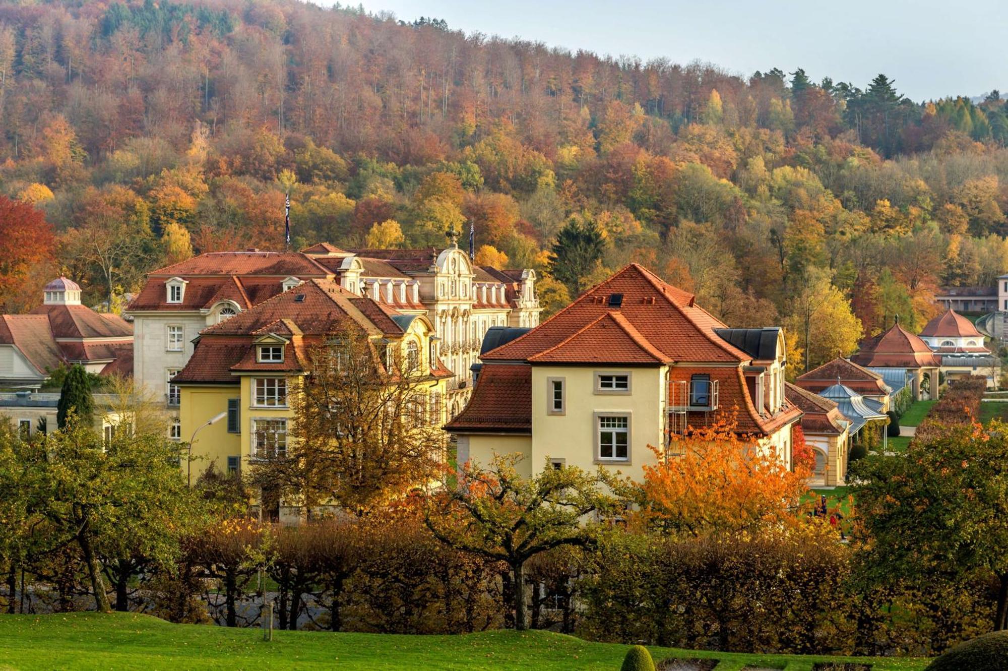 Hotel Dorint & Bad Brueckenau 4*