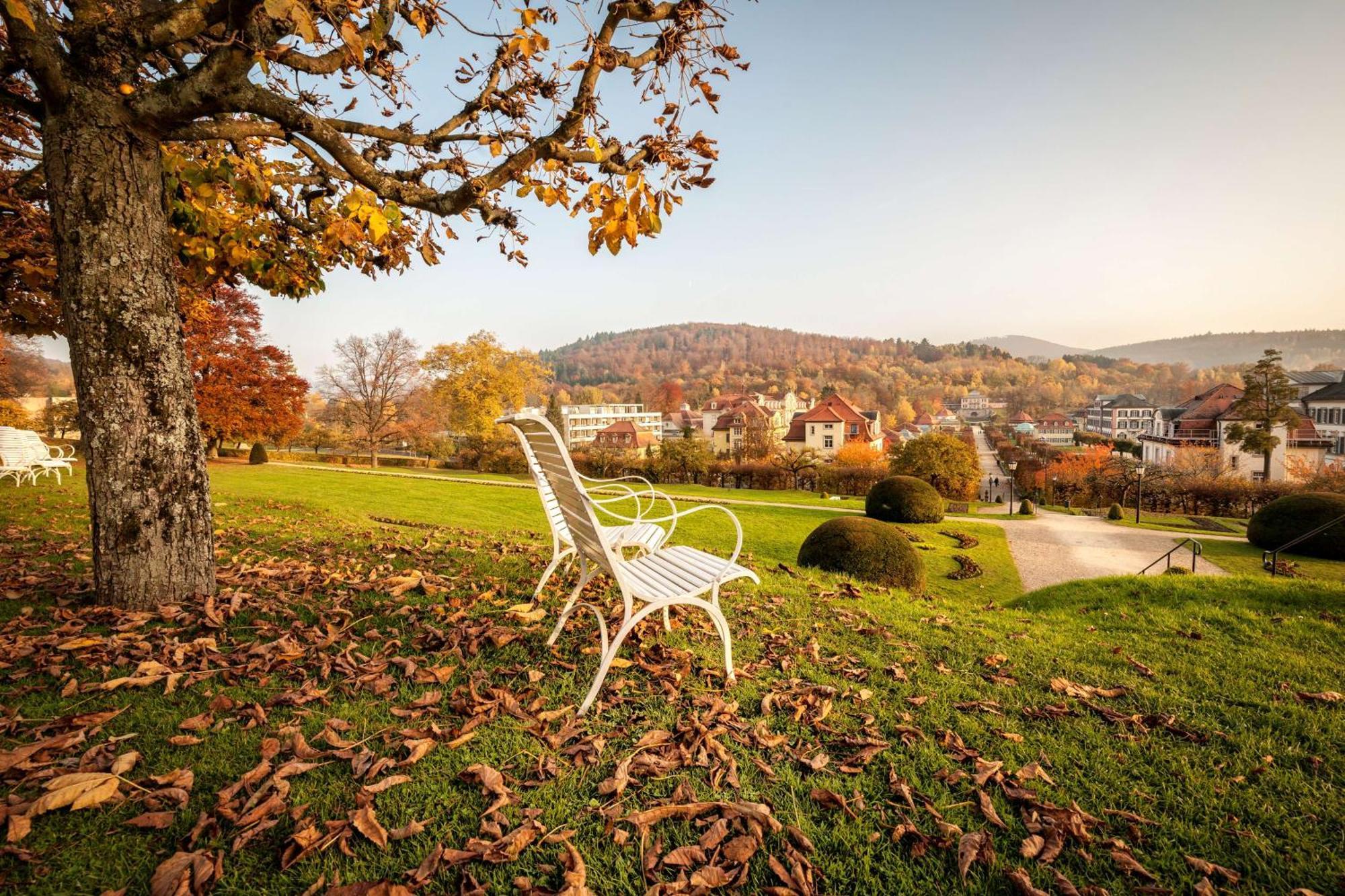 Hotel Dorint & Bad Brueckenau 4*